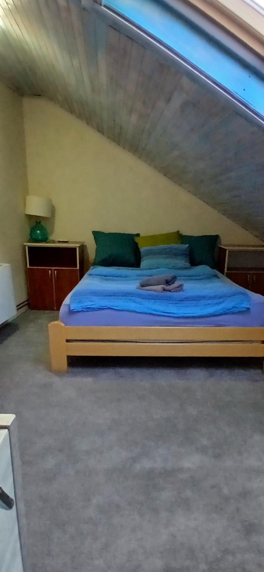 Varad Inn نوفي ساد المظهر الخارجي الصورة